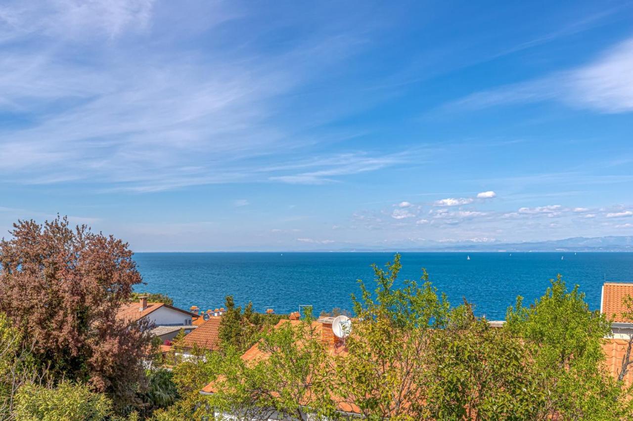 Villa Milena With Pool And Sea View 克尔维尼维赫 外观 照片